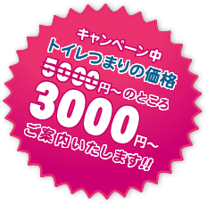 ただいまキャンペーン中!!トイレのつまりの通常価格5000円からのところ･･･3000円でご案内いたします!!